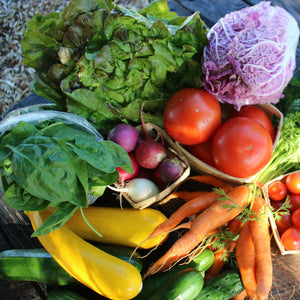 
                  
                    Load image into Gallery viewer, CSA Basket Subscription - Ottawa Farm Fresh Organics
                  
                