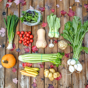
                  
                    Charger l&amp;#39;image dans la galerie, Fall 2025 CSA - Ottawa Farm Fresh
                  
                
