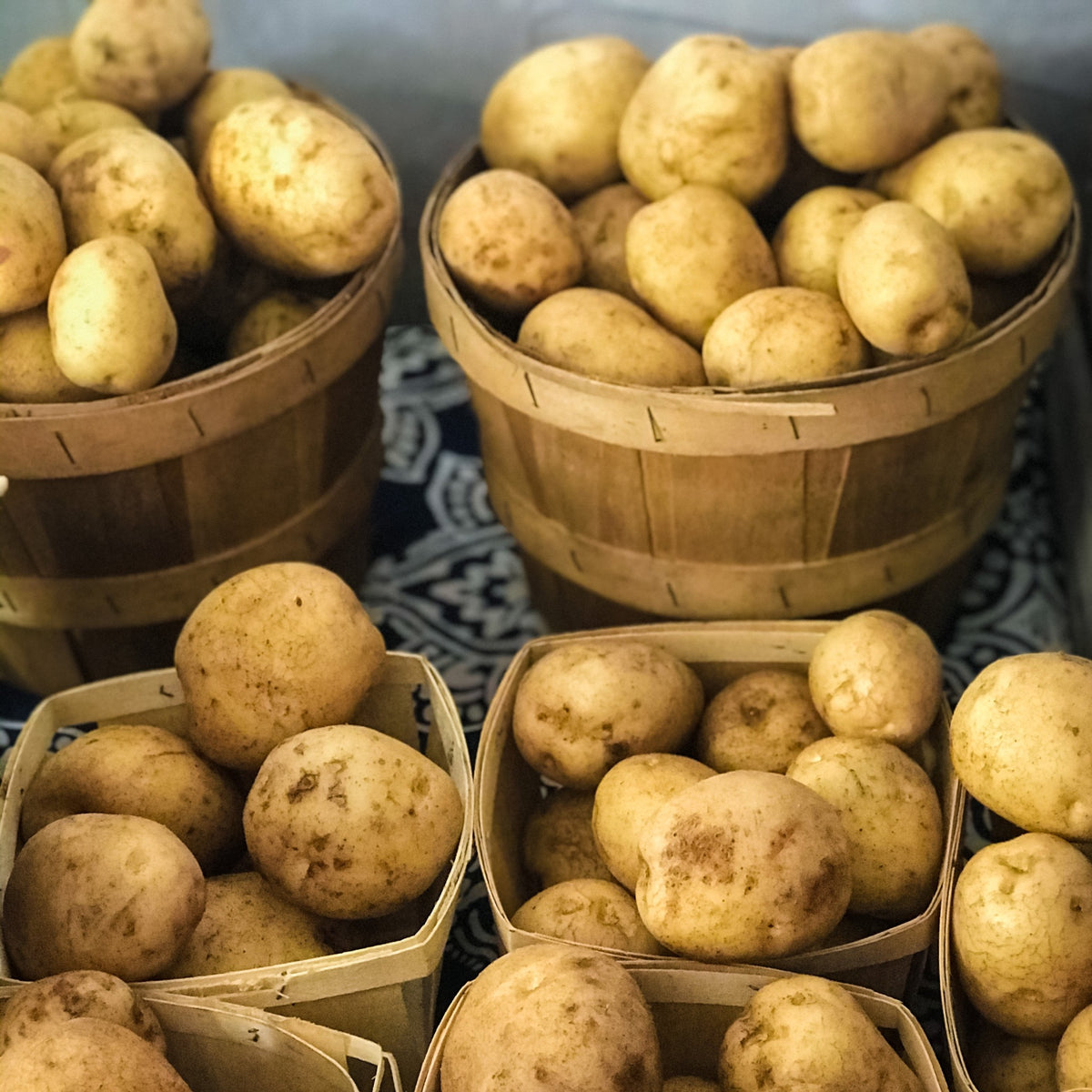 Local Organic Potatoes: Home Delivery and Farm Store in Ottawa – Ottawa ...