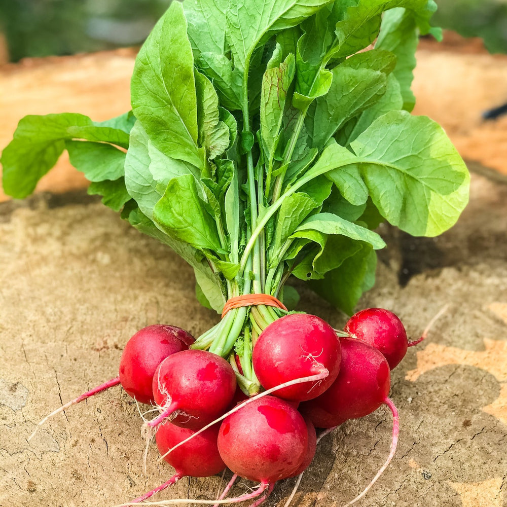 Radishes