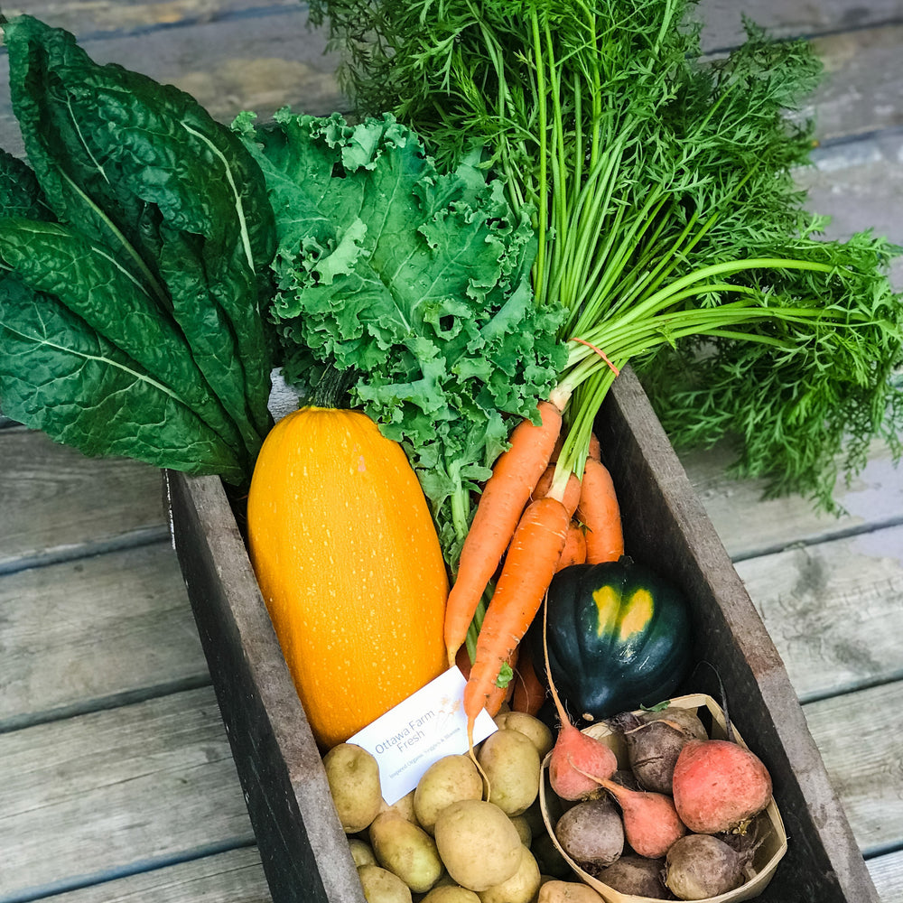 
                  
                    Load image into Gallery viewer, Fall and winter CSA vegetable basket
                  
                