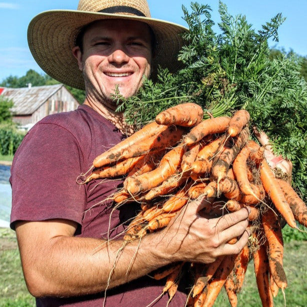 
                  
                    Load image into Gallery viewer, Ottawa Farm Fresh Organics CSA Sampler - 4 weeks
                  
                